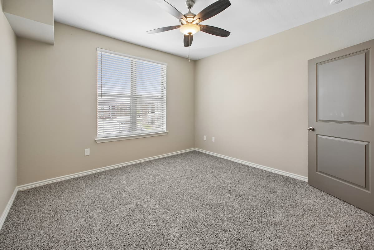 One Bedroom photo 3